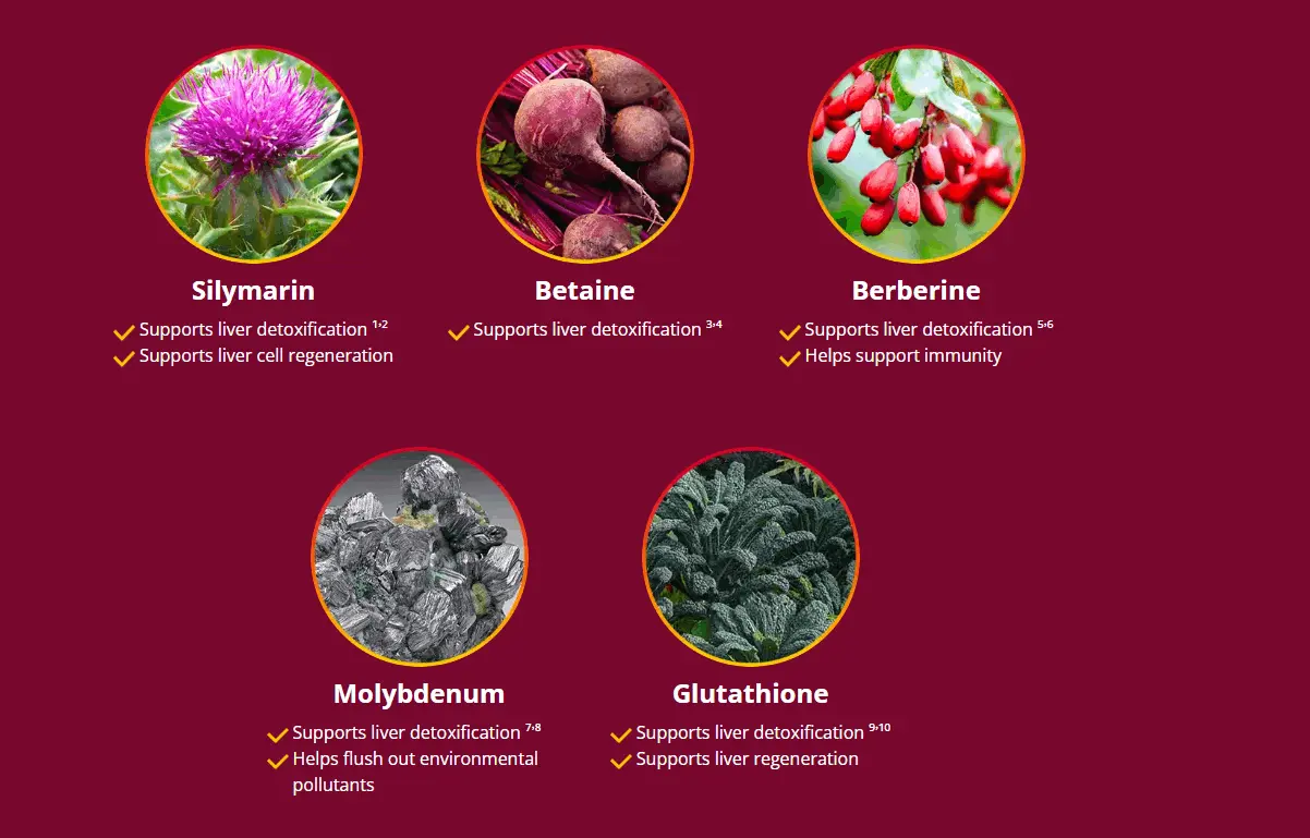 Our Proprietary ‘Liver Purification Complex - HepatoBurn